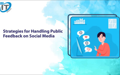 Strategies for Handling Public Feedback on Social Media
